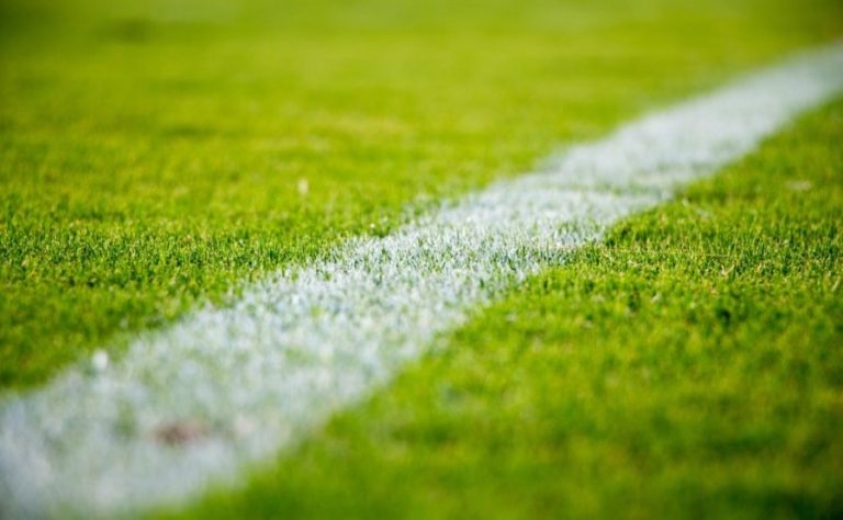 Rugby Guida Completa alle Scommesse Sportive